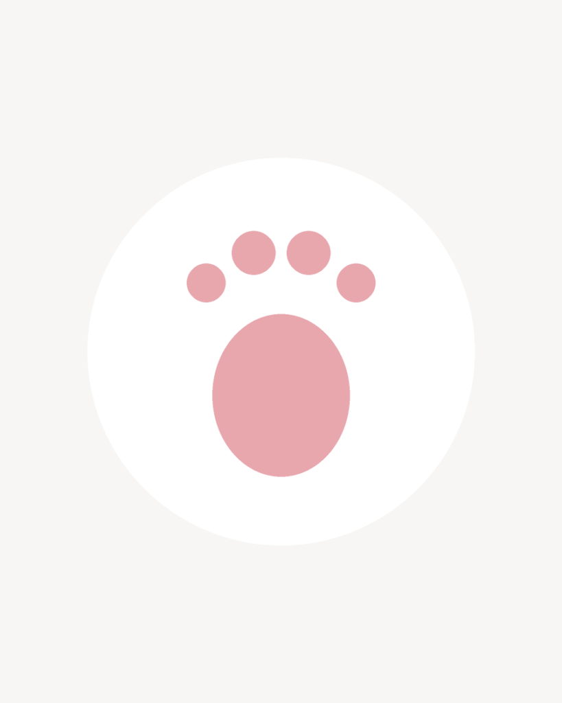 Petal Soft Ballet Flat